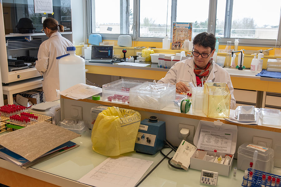 PREPARATEUR-DE-LAMES-(2)