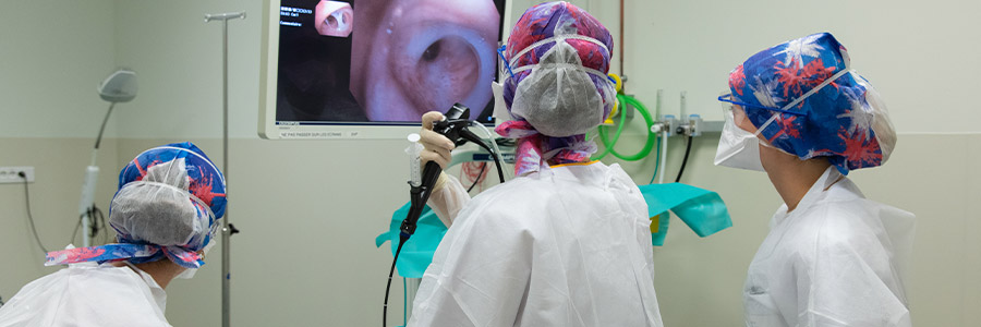 pathologie