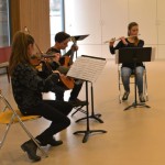 concert_chambre_maillol1_WebChu