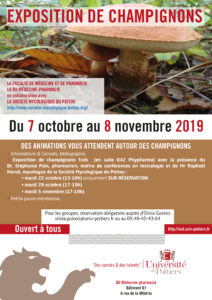 Exposition de Champignons
