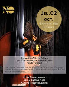 Affiche concert champs elysees